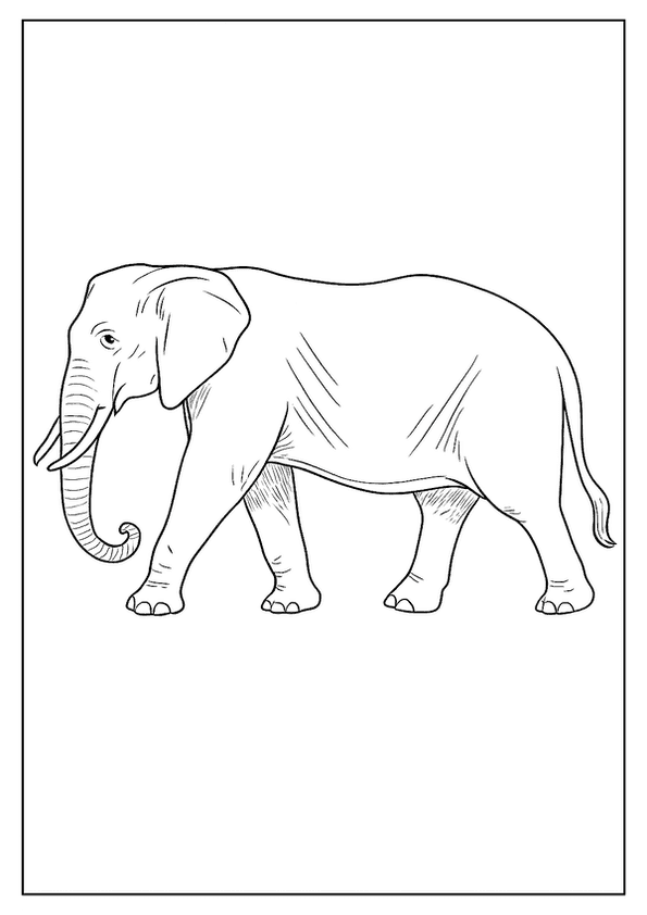 An Elephant Coloring Page Of A Majestic Elephant Walking Gently Through A Wild Setting.
