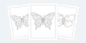 Butterfly Coloring Pages